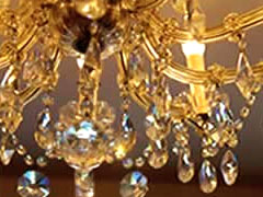 Crystal Orchid, Sylvan Lake