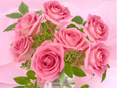 Bunches Direct, { online service}