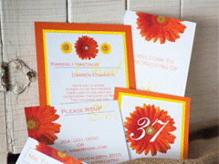 Enchanted Moments Couture Stationery, Brandon