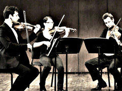 GTA Strings, Toronto