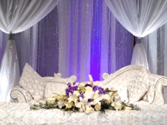 Ultimate Decor and Event Rental, Delta