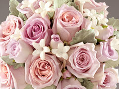 Diamond Florist, North Vancouver
