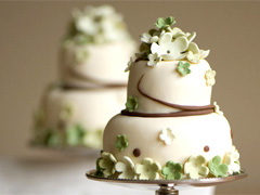 Aeyra Cakes, Coquitlam