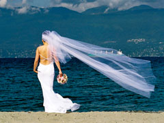 Hamid Attie Photography :: Vancouver, Vancouver