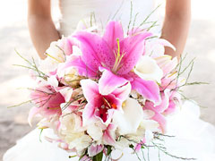 Nichè Event Stylists, Maple Ridge