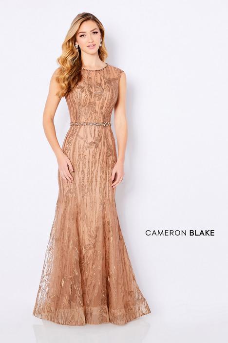  #221685 gown from the 2021 Cameron Blake collection, as seen on dressfinder.ca