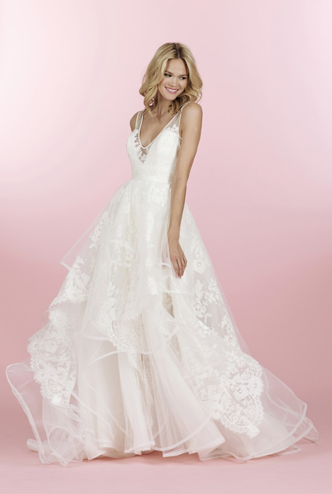 New hayley paige collection online