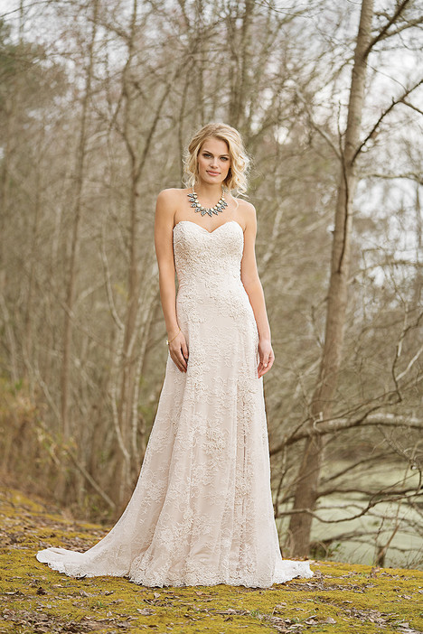 6466 stella york