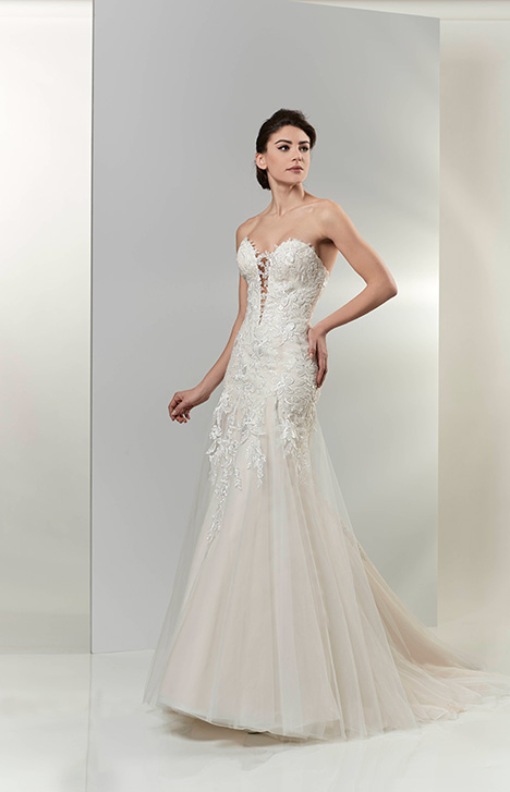 venus bridal 2019